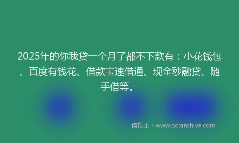 2025年的你我贷一个月了都不下款有：小花钱包、百度有钱花、借款宝速借通、现金秒融贷、随手借等。