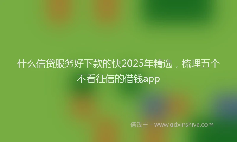什么信贷服务好下款的快2025年精选，梳理五个不看征信的借钱app