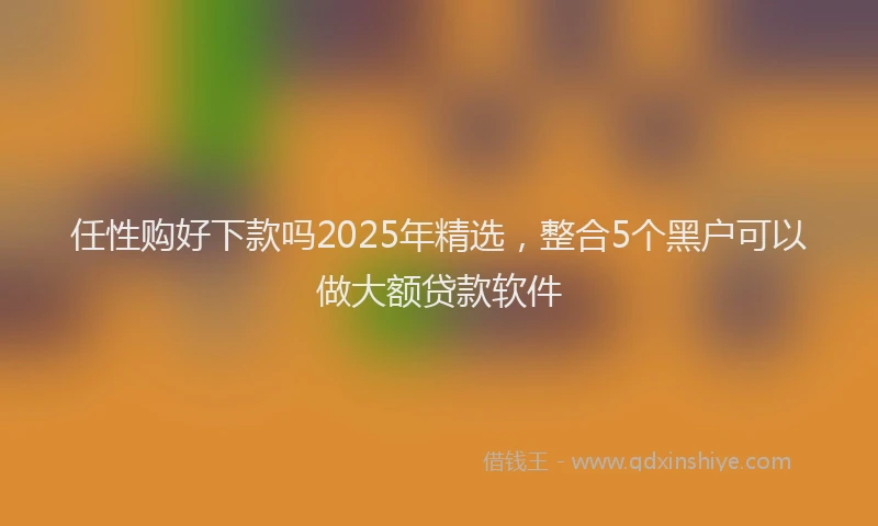 任性购好下款吗2025年精选，整合5个黑户可以做大额贷款软件