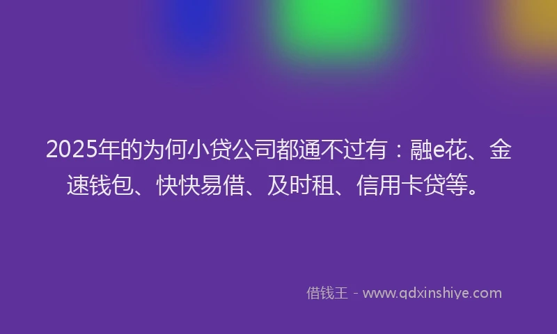 2025年的为何小贷公司都通不过有：融e花、金速钱包、快快易借、及时租、信用卡贷等。