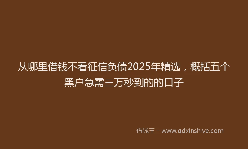从哪里借钱不看征信负债2025年精选，概括五个黑户急需三万秒到的的口子