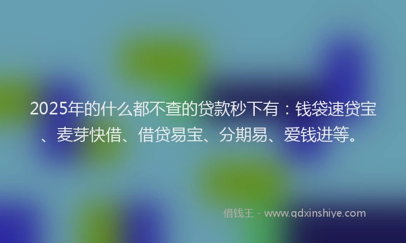 2025年的什么都不查的贷款秒下有：钱袋速贷宝、麦芽快借、借贷易宝、分期易、爱钱进等。