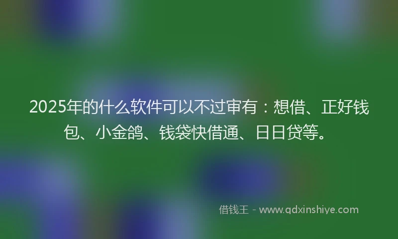2025年的什么软件可以不过审有:想借、正好钱包、小金鸽、钱袋快借通、日日贷等。