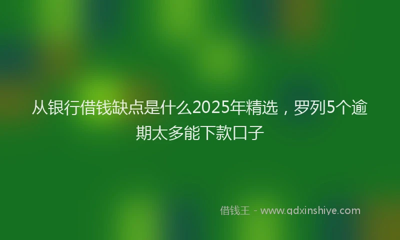 从银行借钱缺点是什么2025年精选，罗列5个逾期太多能下款口子