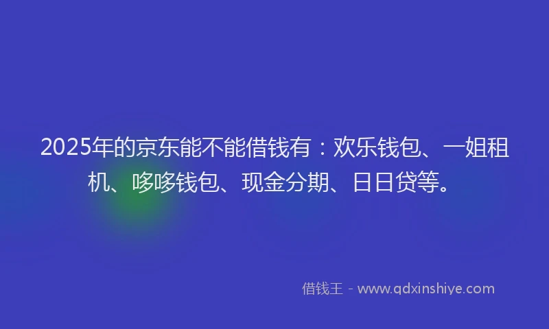 2025年的京东能不能借钱有：欢乐钱包、一姐租机、哆哆钱包、现金分期、日日贷等。