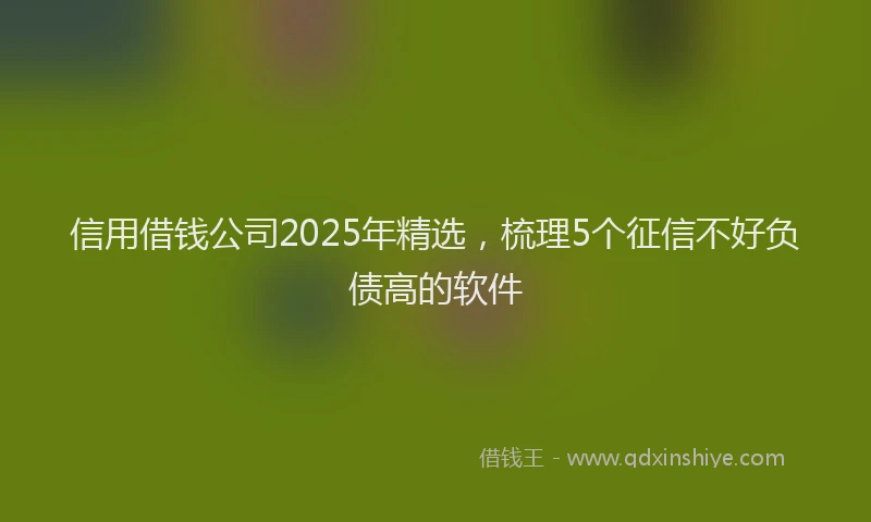 信用借钱公司2025年精选，梳理5个征信不好负债高的软件