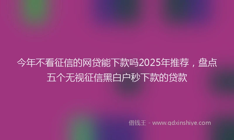今年不看征信的网贷能下款吗2025年推荐，盘点五个无视征信黑白户秒下款的贷款