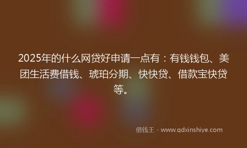 2025年的什么网贷好申请一点有：有钱钱包、美团生活费借钱、琥珀分期、快快贷、借款宝快贷等。