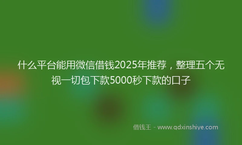 什么平台能用微信借钱2025年推荐，整理五个无视一切包下款5000秒下款的口子