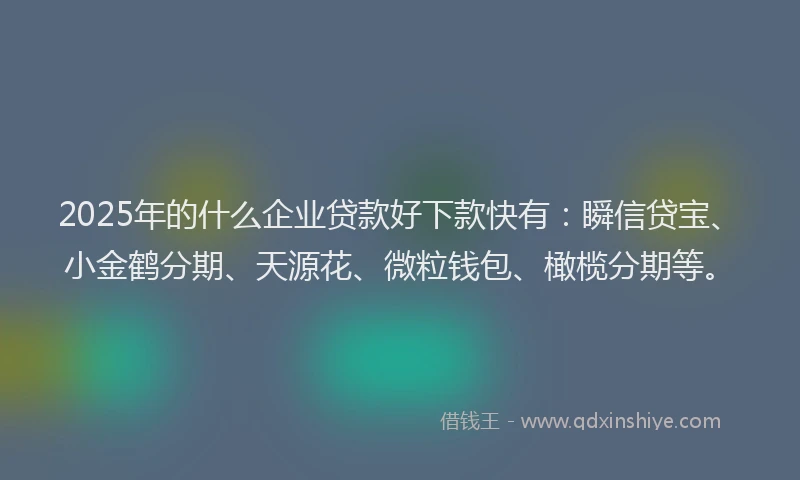 2025年的什么企业贷款好下款快有：瞬信贷宝、小金鹤分期、天源花、微粒钱包、橄榄分期等。