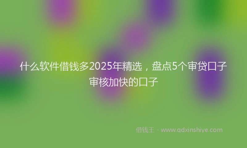 什么软件借钱多2025年精选，盘点5个审贷口子审核加快的口子