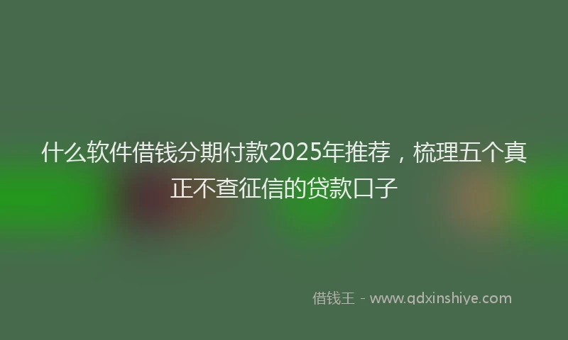 什么软件借钱分期付款2025年推荐，梳理五个真正不查征信的贷款口子
