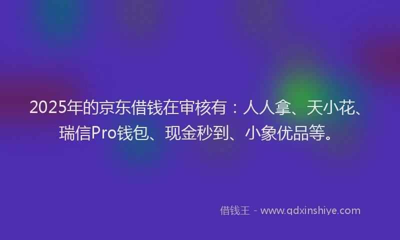 2025年的京东借钱在审核有：人人拿、天小花、瑞信Pro钱包、现金秒到、小象优品等。