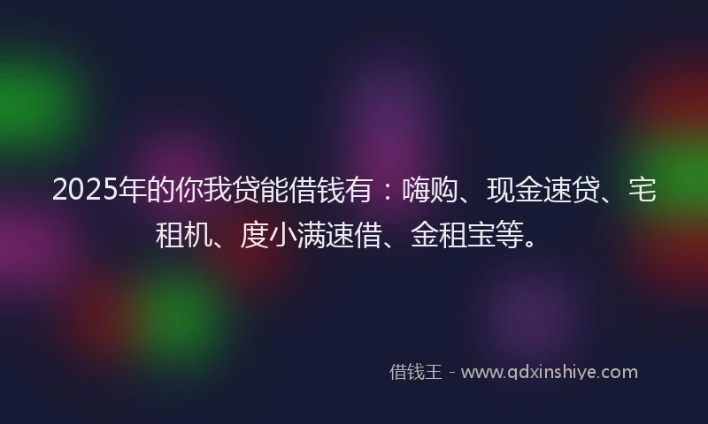 2025年的你我贷能借钱有：嗨购、现金速贷、宅租机、度小满速借、金租宝等。