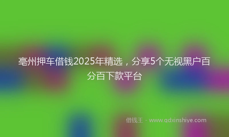 亳州押车借钱2025年精选，分享5个无视黑户百分百下款平台