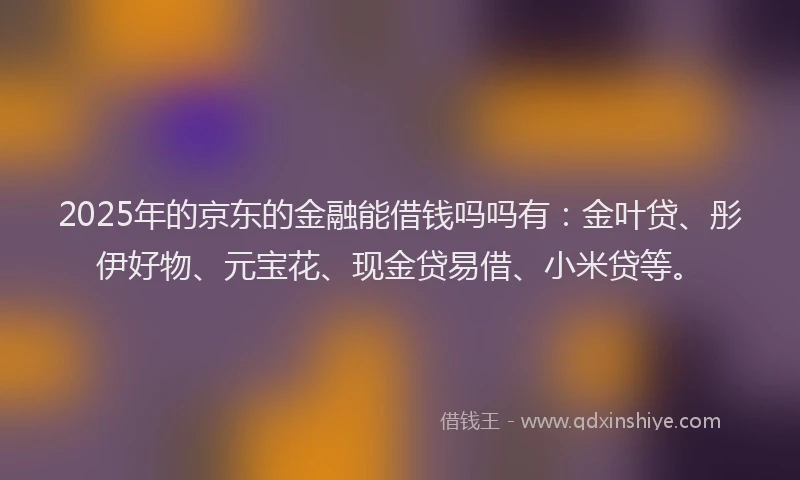 2025年的京东的金融能借钱吗吗有：金叶贷、彤伊好物、元宝花、现金贷易借、小米贷等。