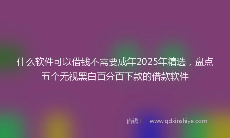 什么软件可以借钱不需要成年2025年精选，盘点五个无视黑白百分百下款的借款软件