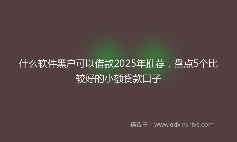 什么软件黑户可以借款2025年推荐，盘点5个比较好的小额贷款口子