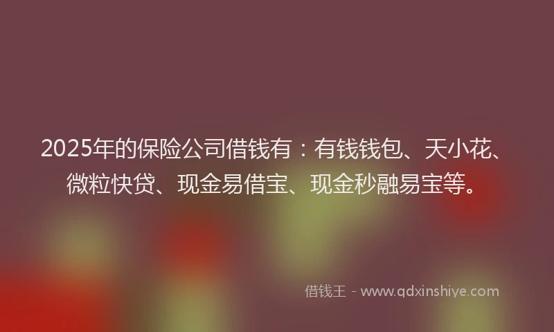 2025年的保险公司借钱有：有钱钱包、天小花、微粒快贷、现金易借宝、现金秒融易宝等。