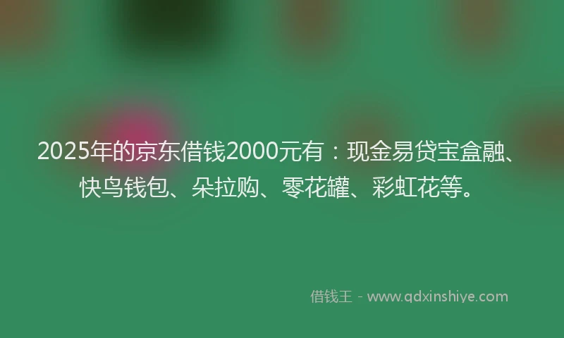 2025年的京东借钱2000元有：现金易贷宝盒融、快鸟钱包、朵拉购、零花罐、彩虹花等。