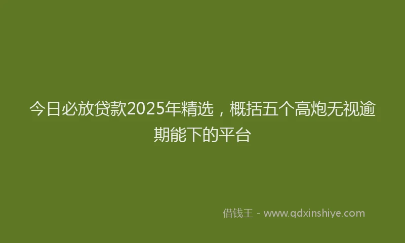 今日必放贷款2025年精选，概括五个高炮无视逾期能下的平台