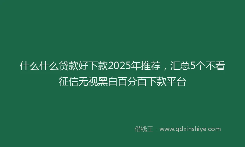什么什么贷款好下款2025年推荐,汇总5个不看征信无视黑白百分百下款平台