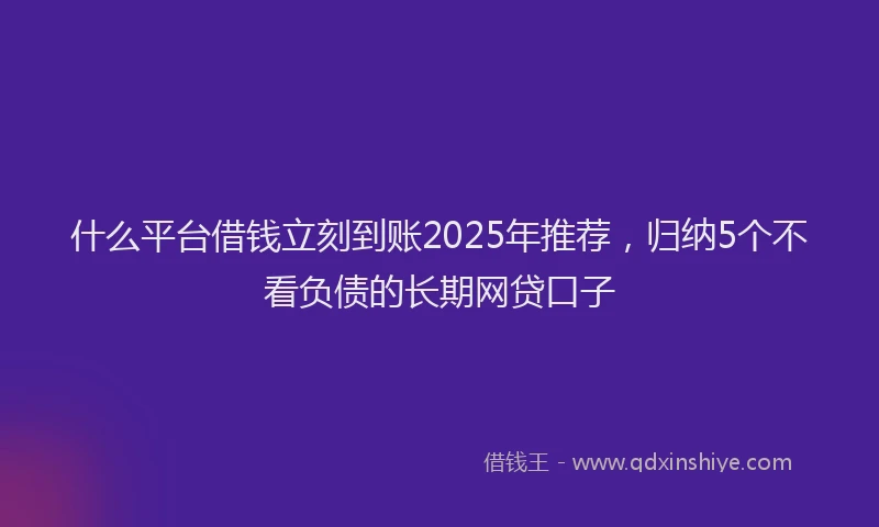 什么平台借钱立刻到账2025年推荐，归纳5个不看负债的长期网贷口子
