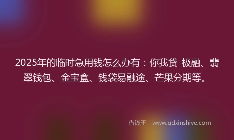 2025年的临时急用钱怎么办有：你我贷-极融、翡翠钱包、金宝盒、钱袋易融途、芒果分期等。