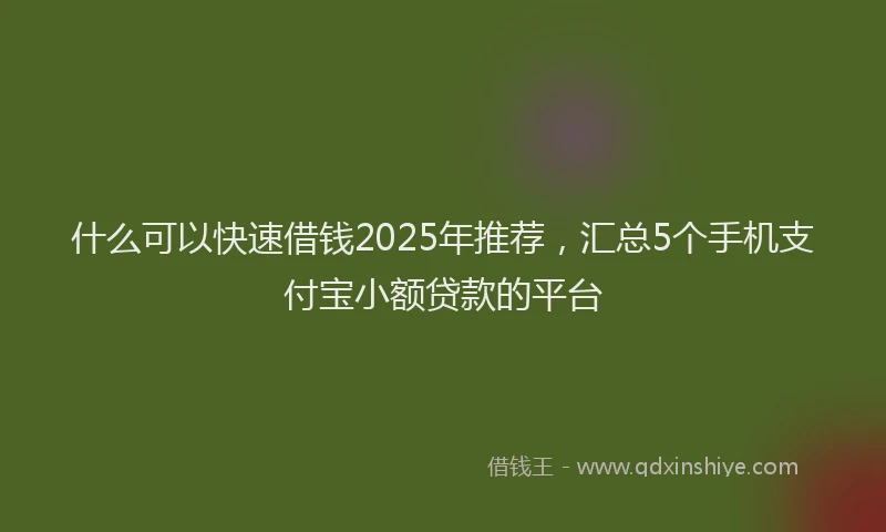 什么可以快速借钱2025年推荐，汇总5个手机支付宝小额贷款的平台