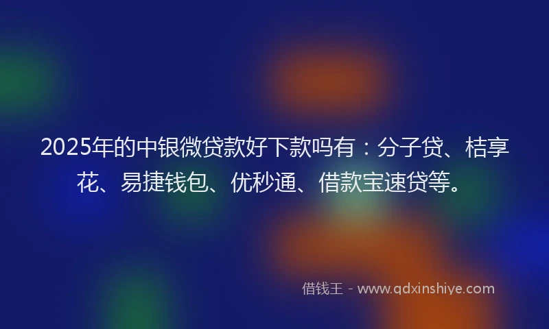 2025年的中银微贷款好下款吗有：分子贷、桔享花、易捷钱包、优秒通、借款宝速贷等。