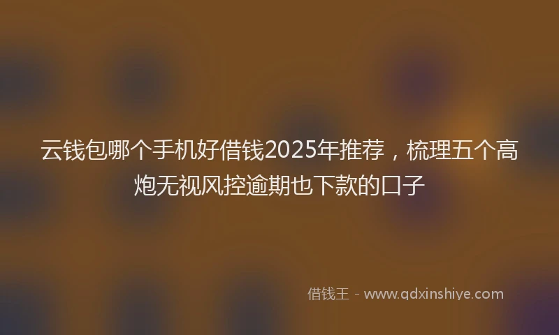 云钱包哪个手机好借钱2025年推荐，梳理五个高炮无视风控逾期也下款的口子