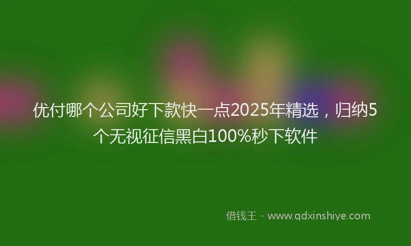 优付哪个公司好下款快一点2025年精选，归纳5个无视征信黑白100%秒下软件