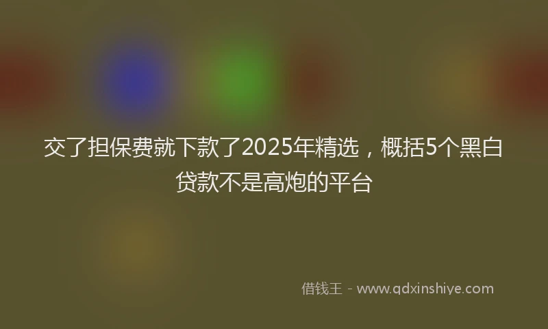 交了担保费就下款了2025年精选，概括5个黑白贷款不是高炮的平台