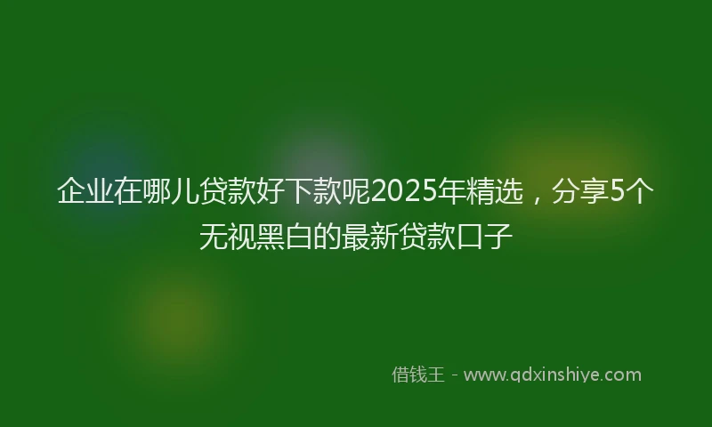 企业在哪儿贷款好下款呢2025年精选，分享5个无视黑白的最新贷款口子
