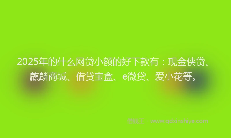 2025年的什么网贷小额的好下款有：现金侠贷、麒麟商城、借贷宝盒、e微贷、爱小花等。