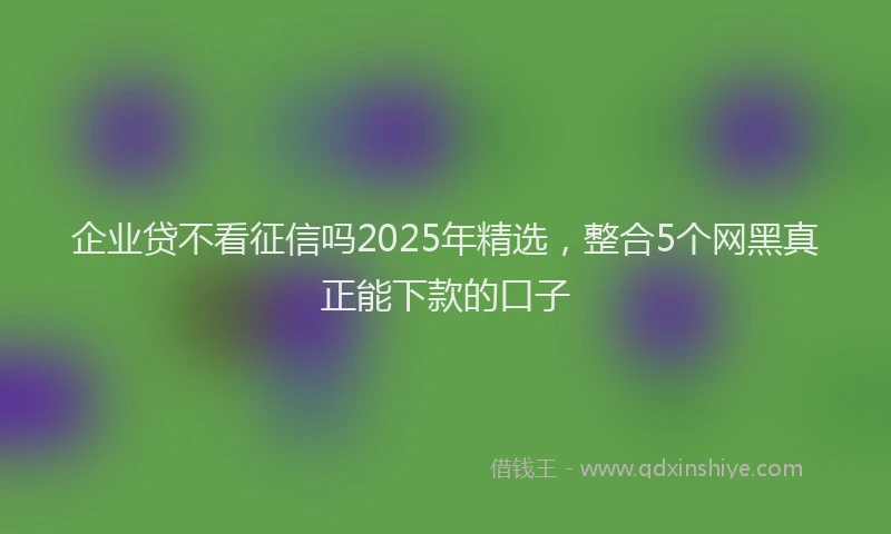 企业贷不看征信吗2025年精选，整合5个网黑真正能下款的口子