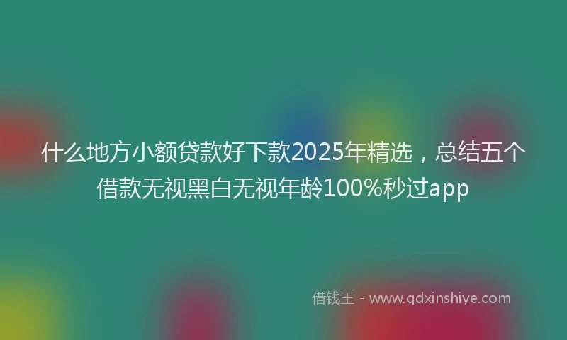 什么地方小额贷款好下款2025年精选，总结五个借款无视黑白无视年龄100%秒过app