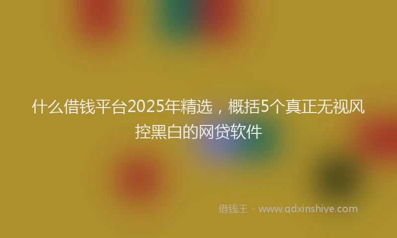 什么借钱平台2025年精选，概括5个真正无视风控黑白的网贷软件