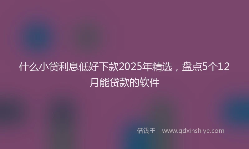 什么小贷利息低好下款2025年精选，盘点5个12月能贷款的软件