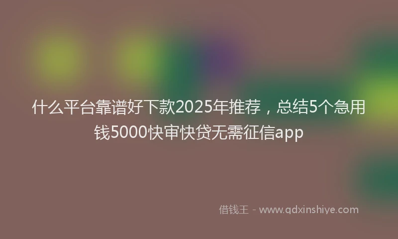 什么平台靠谱好下款2025年推荐，总结5个急用钱5000快审快贷无需征信app