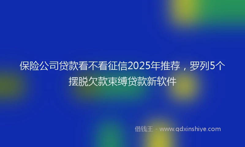 保险公司贷款看不看征信2025年推荐，罗列5个摆脱欠款束缚贷款新软件