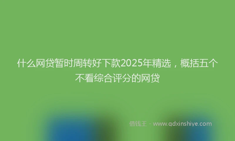 什么网贷暂时周转好下款2025年精选,概括五个不看综合评分的网贷