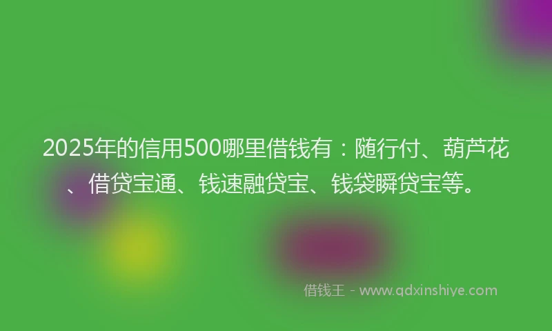 2025年的信用500哪里借钱有：随行付、葫芦花、借贷宝通、钱速融贷宝、钱袋瞬贷宝等。