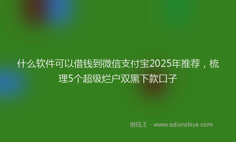 什么软件可以借钱到微信支付宝2025年推荐,梳理5个超级烂户双黑下款口子