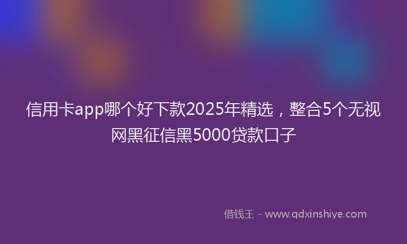 信用卡app哪个好下款2025年精选，整合5个无视网黑征信黑5000贷款口子