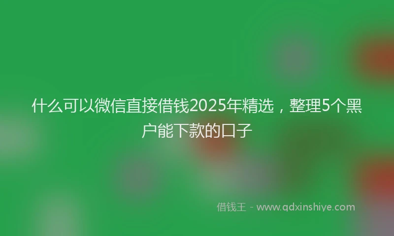什么可以微信直接借钱2025年精选,整理5个黑户能下款的口子