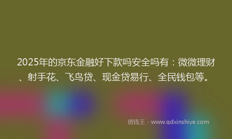 2025年的京东金融好下款吗安全吗有：微微理财、射手花、飞鸟贷、现金贷易行、全民钱包等。
