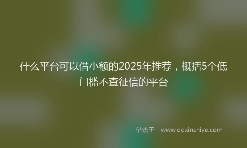 什么平台可以借小额的2025年推荐，概括5个低门槛不查征信的平台