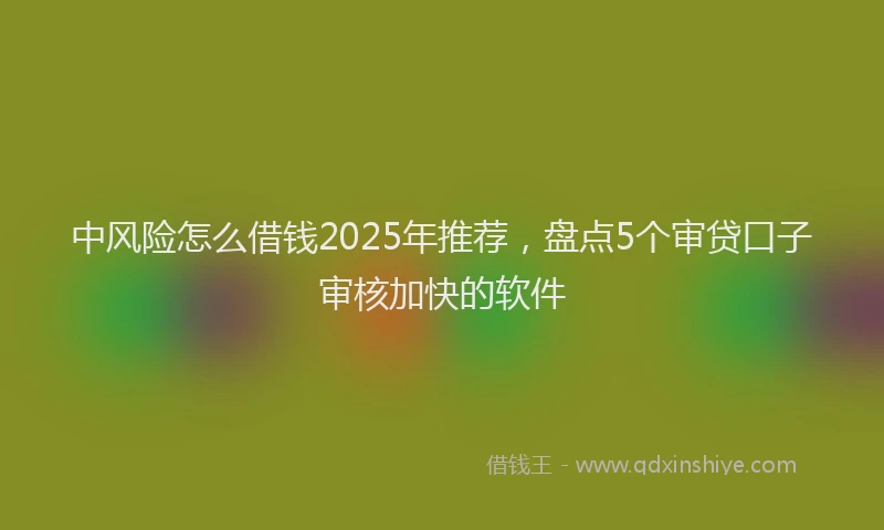 中风险怎么借钱2025年推荐，盘点5个审贷口子审核加快的软件