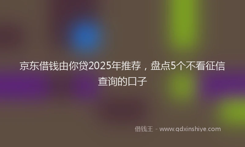 京东借钱由你贷2025年推荐,盘点5个不看征信查询的口子